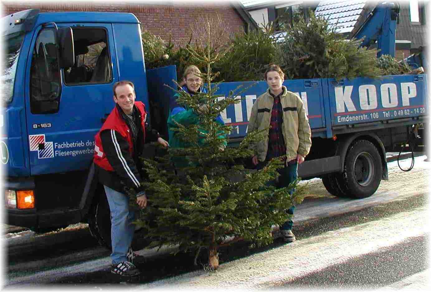 weihnachtsbaum